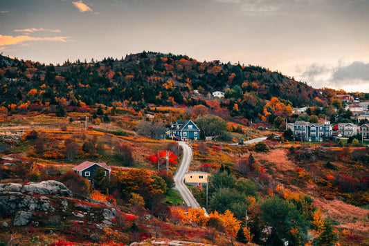 Quidi Vidi Village - Fall