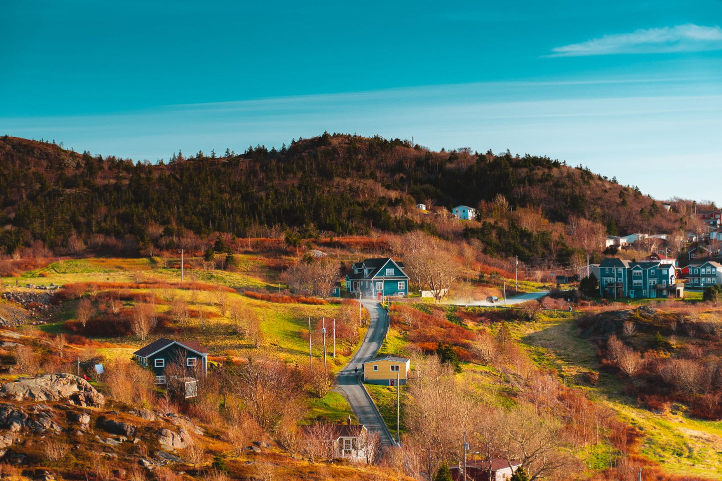 Quidi Vidi Village - Spring