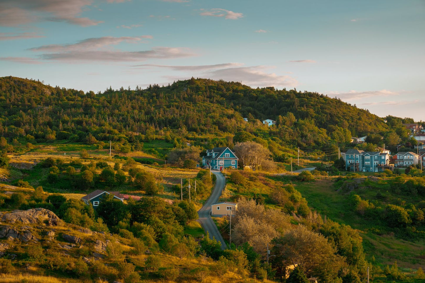 Quidi Vidi Village -Summer