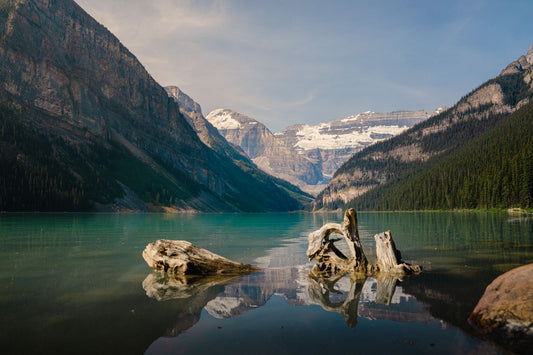 An old log - Lake Louise